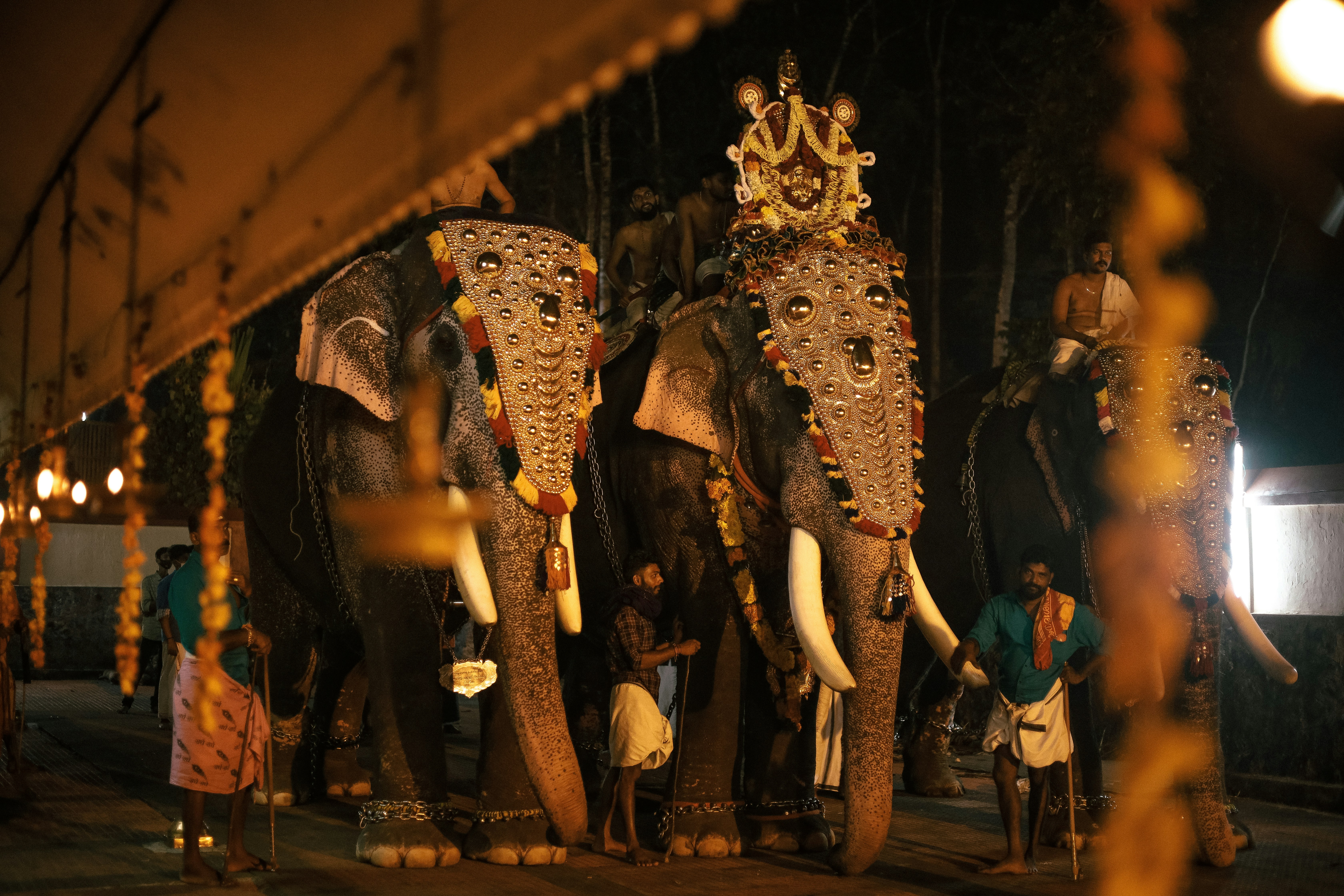 Kulturelle Szene in Kerala